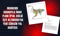 Mahkeme Kararıyla İmar Planı İptal Edildi: İşte Altınordu'da Yeni Sürecin Yol Haritası