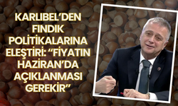 Karlıbel’den Fındık Politikalarına Eleştiri: “Fiyatın Haziran’da Açıklanması Gerekir”