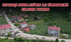 Kayabaşı Mahallesi'nde 3,5 Kilometrelik Kaldırım Yatırımı