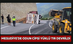 Mesudiye’de Odun Cipsi Yüklü Tır Devrildi