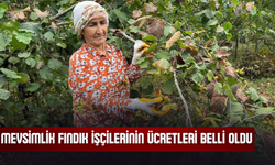 Mevsimlik Fındık İşçilerinin Ücretleri Belli Oldu