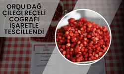 Ordu Dağ Çileği Reçeli Coğrafi İşaretle Tescillendi