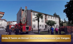 Ordu İl Tarım ve Orman Müdürlüğü Binasında Çatı Yangını