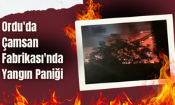 Ordu'da Çamsan Fabrikası'nda Yangın Paniği