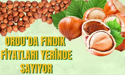 Ordu’da Fındık Fiyatları Yerinde Sayıyor