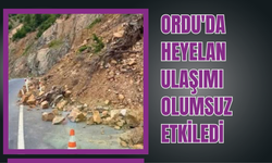 ORDU'DA HEYELAN ULAŞIMI OLUMSUZ ETKİLEDİ