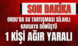 Ordu’da Su Tartışması Silahlı Kavgaya Dönüştü: 1 Kişi Ağır Yaralı