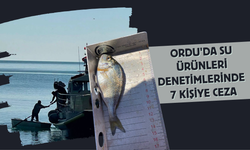 Ordu'da Su Ürünleri Denetimlerinde 7 Kişiye Ceza