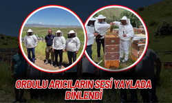 Ordulu Arıcıların Sesi Yaylada Dinlendi