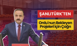 Şanlıtürk'ten Ordu'nun Bekleyen Projeleri İçin Çağrı