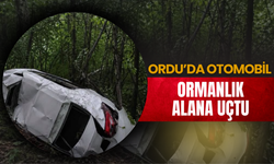 Ordu’da Otomobil Ormanlık Alana Uçtu