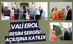 Vali Erol, Resim Sergisi Açılışına Katıldı