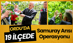 Ordu’da 19 İlçede Samuray Arısı Operasyonu