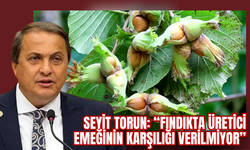 Seyit Torun: “Fındıkta Üretici Emeğinin Karşılığı Verilmiyor”