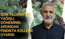 Son Yılların En Yağışlı Döneminin Ardından Fındıkta Külleme Uyarısı