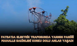 Fatsa'da Elektrik Trafosunda Yangın Paniği