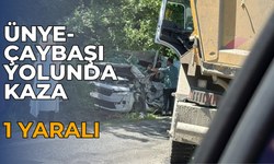 Ünye-Çaybaşı Yolunda Kaza: 1 Yaralı