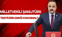 Şanlıtürk'ten TMO'ya Fındık Mesajı: “Üreticinin Emeği Korunmalı”