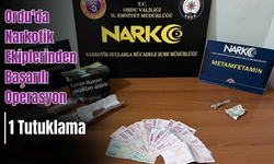 Ordu'da Narkotik Ekiplerinden Başarılı Operasyon: 1 Tutuklama