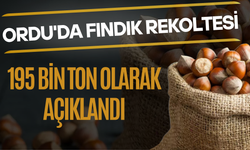 Ordu'da Fındık Rekoltesi 195 Bin Ton Olarak Tescil Edildi