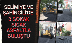 SELİMİYE VE ŞAHİNCİLİ'DE 3 SOKAK SICAK ASFALTLA BULUŞTU