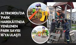 Altınordu'da 'Park Harekâtı'nda Yenilenen Park Sayısı 16'ya Ulaştı