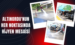 ALTINORDU'NUN HER NOKTASINDA HİJYEN MESAİSİ