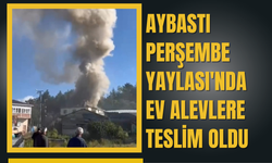 Aybastı Perşembe Yaylası'nda Ev Alevlere Teslim Oldu