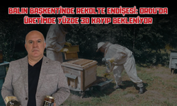 Balın Başkentinde Rekolte Endişesi: Ordu'da Üretimde Yüzde 30 Kayıp Bekleniyor