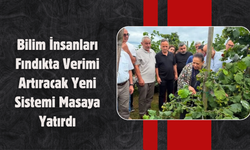 Bilim İnsanları Fındıkta Verimi Artıracak Yeni Sistemi Masaya Yatırdı