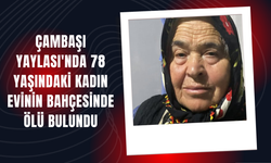 Çambaşı Yaylası'nda 78 Yaşındaki Kadın Evinin Bahçesinde Ölü Bulundu