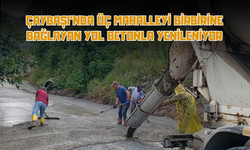 Çaybaşı'nda Üç Mahalleyi Birbirine Bağlayan Yol Betonla Yenileniyor