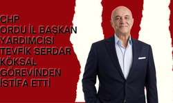 CHP Ordu İl Başkan Yardımcısı Tevfik Serdar Köksal Görevinden İstifa Etti