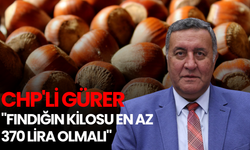 CHP'li Gürer: "Fındığın Kilosu En Az 370 Lira Olmalı"