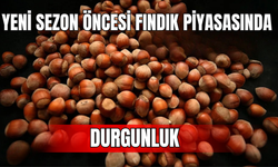 Yeni Sezon Öncesi Fındık Piyasasında Durgunluk