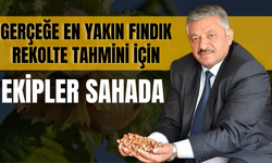 Gerçeğe En Yakın Fındık Rekolte Tahmini İçin Ekipler Sahada