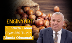 Enginyurt: "Fındıkta Taban Fiyat 350 TL'nin Altında Olmamalı"