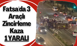 Fatsa'da 3 Araçlı Zincirleme Kaza: 1 Yaralı