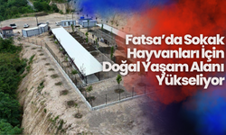 Fatsa’da Sokak Hayvanları İçin Doğal Yaşam Alanı Yükseliyor