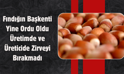 Fındığın Başkenti Yine Ordu Oldu: Üretimde ve Üreticide Zirveyi Bırakmadı
