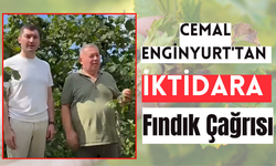 Cemal Enginyurt'tan İktidara Fındık Çağrısı