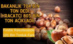 Bakanlık 704 Bin Ton Dedi, İhracatçı 805 Bin Ton Açıkladı! Fındık Rekoltesinde 101 Bin Tonluk Fark