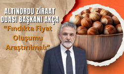 Altınordu Ziraat Odası Başkanı Akça, “Fındıkta Fiyat Oluşumu Araştırılmalı”