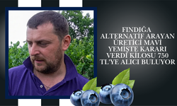 Fındığa Alternatif Arayan Üretici Mavi Yemişte Kararı Verdi: Kilosu 750 TL'ye Alıcı Buluyor