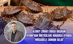 Ulubey Ziraat Odası Başkanı Aydın’dan Üreticilere Kokarca Uyarısı: “Mücadele Zamanı Geldi”