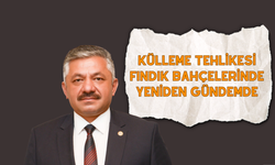 Külleme Tehlikesi Fındık Bahçelerinde Yeniden Gündemde