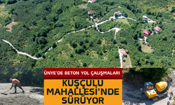 Ünye'de Beton Yol Çalışmaları Kuşçulu Mahallesi'nde Sürüyor