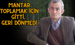 Ünye'de Mantar Toplamaya Giden Vatandaştan 3 Gündür Haber Alınamıyor