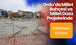 Ordu’da Millet Bahçesi ve Millet Düzü Projelerinde Çalışmalar Sürüyor
