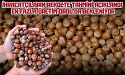 İhracatçıların Rekolte Tahmini Açıklandı: En Fazla Üretim Ordu'da Bekleniyor